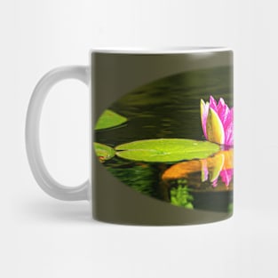 Pink Lily and Goldfish Mug